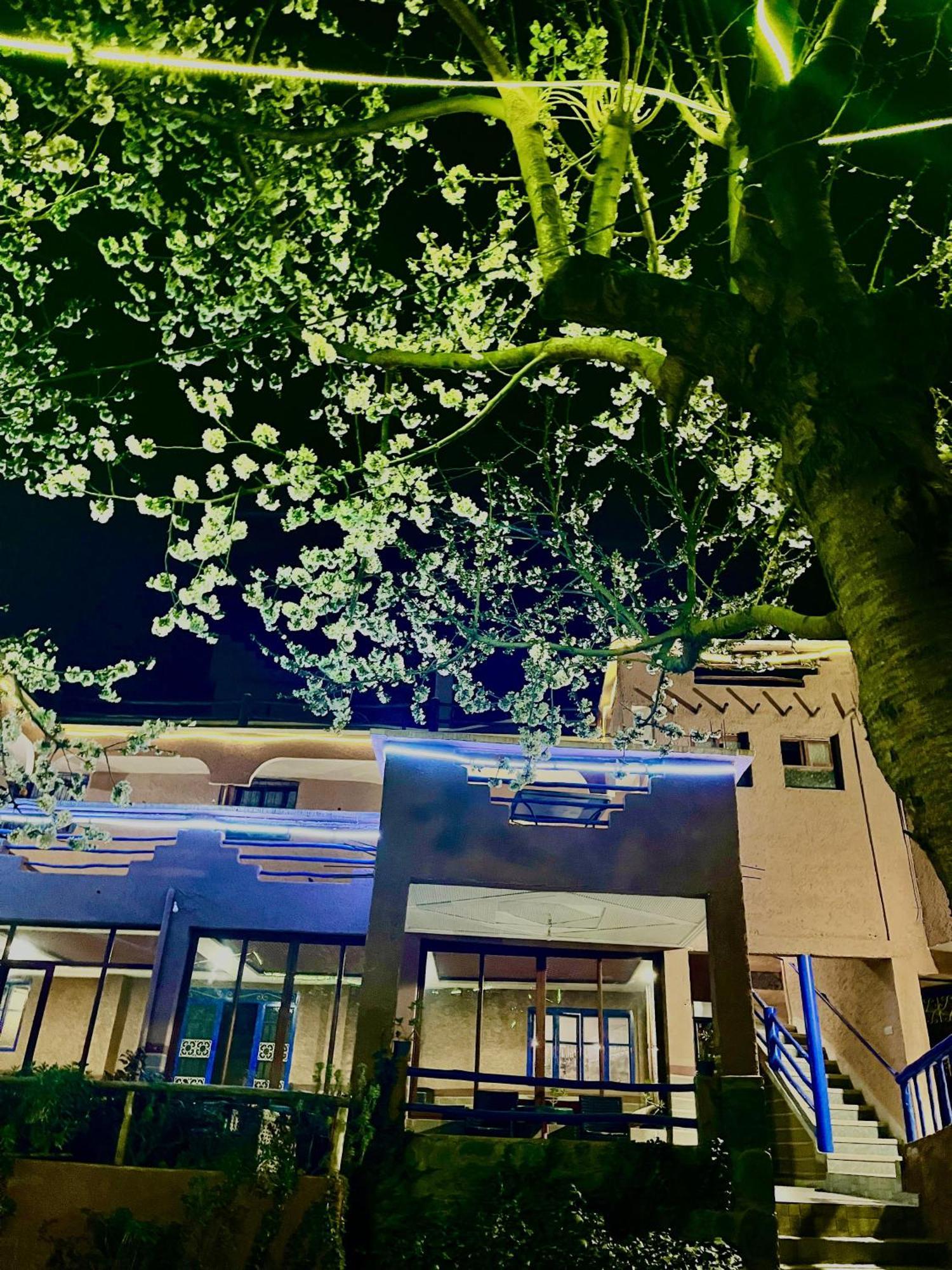 Auberge De La Vallee Imlil  Extérieur photo